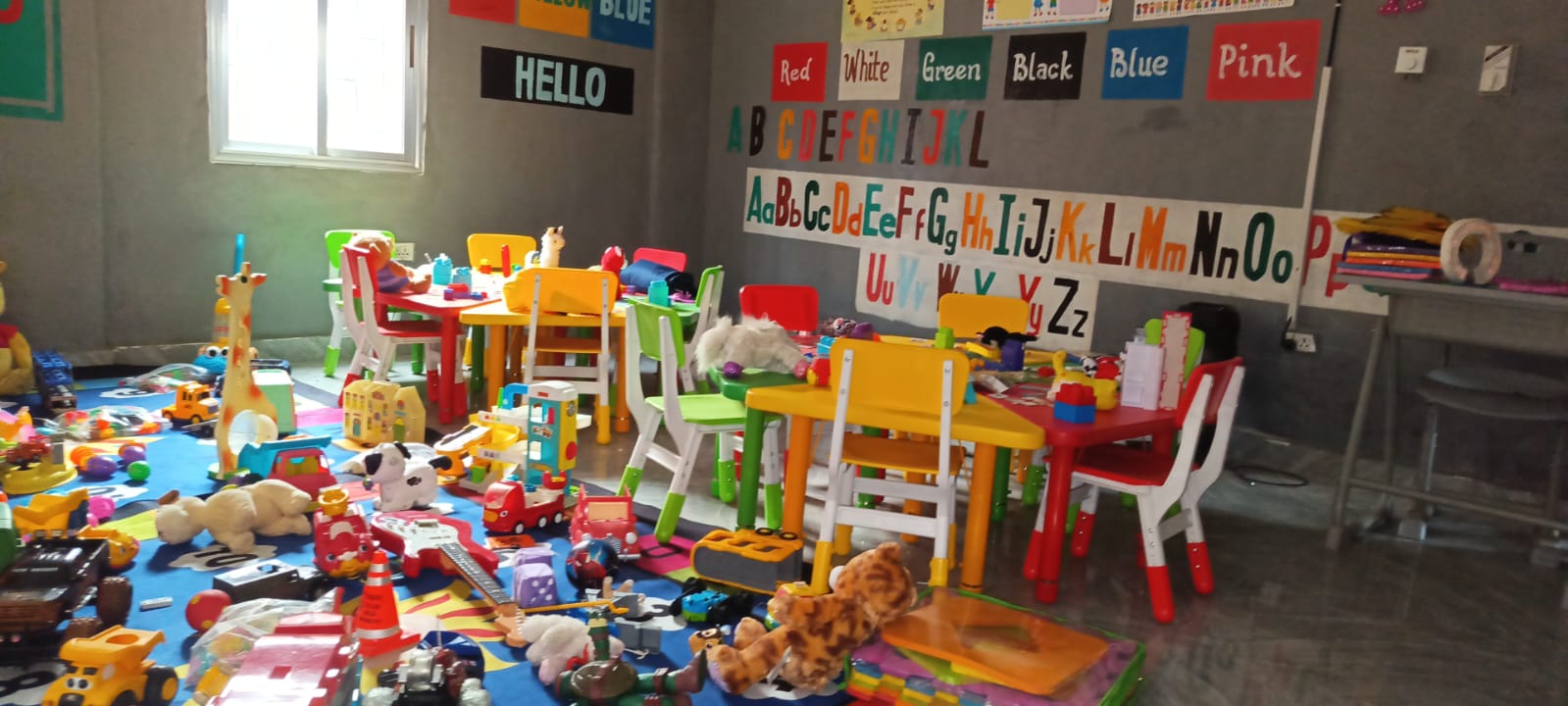 WhatsApp Image 2026tyty